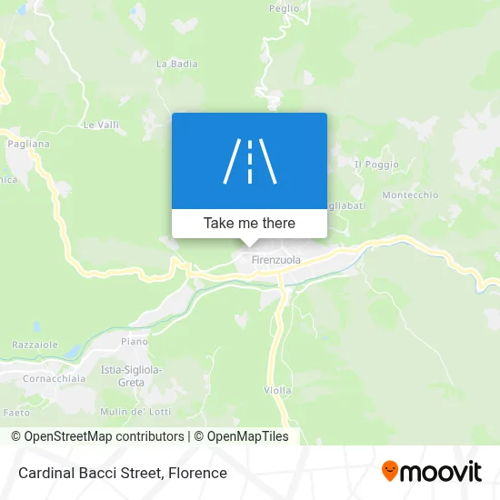Cardinal Bacci Street map