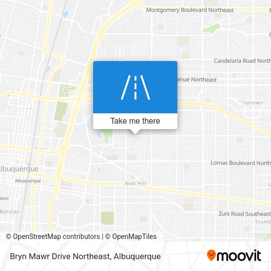 Bryn Mawr Drive Northeast map