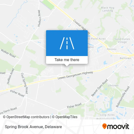 Spring Brook Avenue map