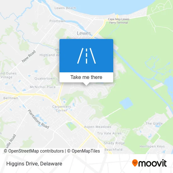 Higgins Drive map