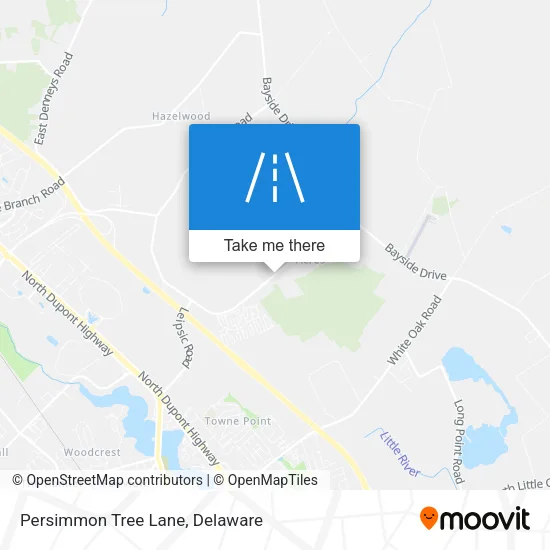 Mapa de Persimmon Tree Lane