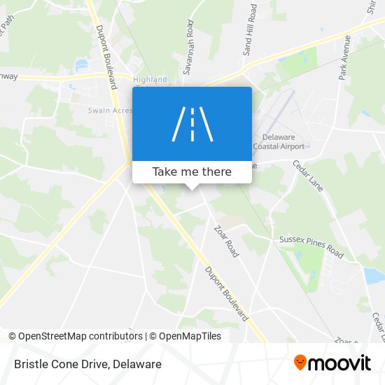 Bristle Cone Drive map