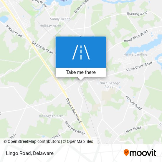 Lingo Road map