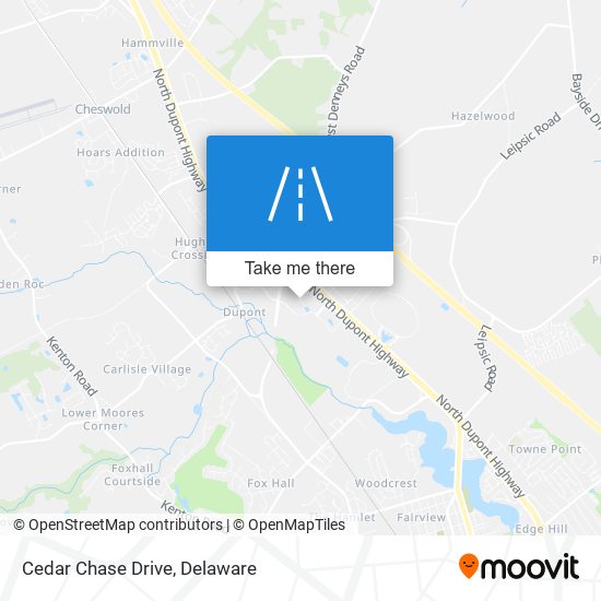 Mapa de Cedar Chase Drive