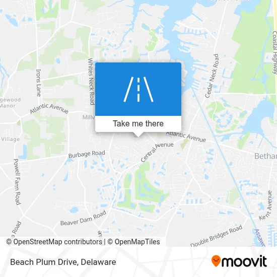 Beach Plum Drive map