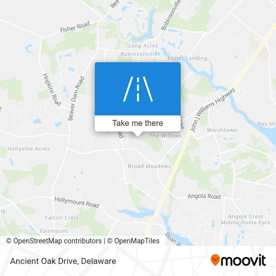 Ancient Oak Drive map