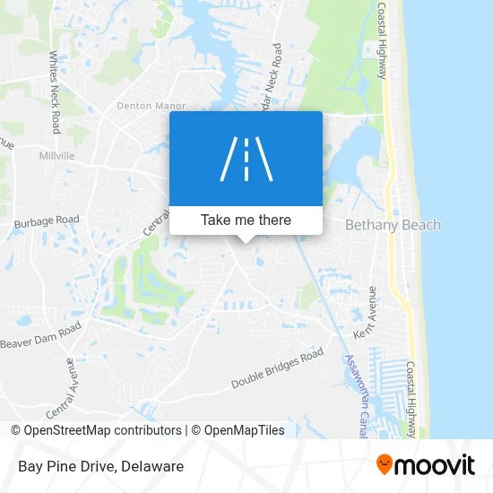 Bay Pine Drive map