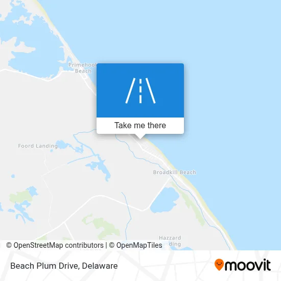 Beach Plum Drive map