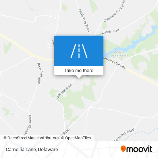 Mapa de Camellia Lane