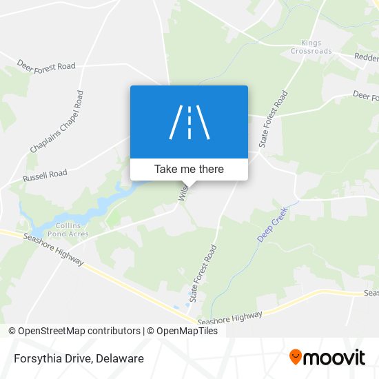 Forsythia Drive map