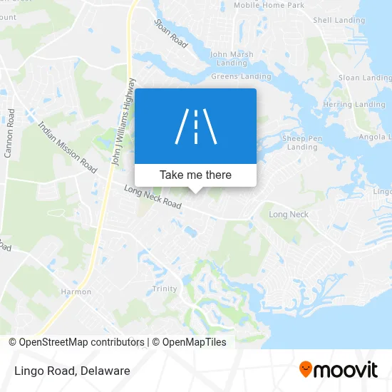Lingo Road map