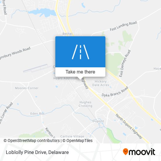 Loblolly Pine Drive map