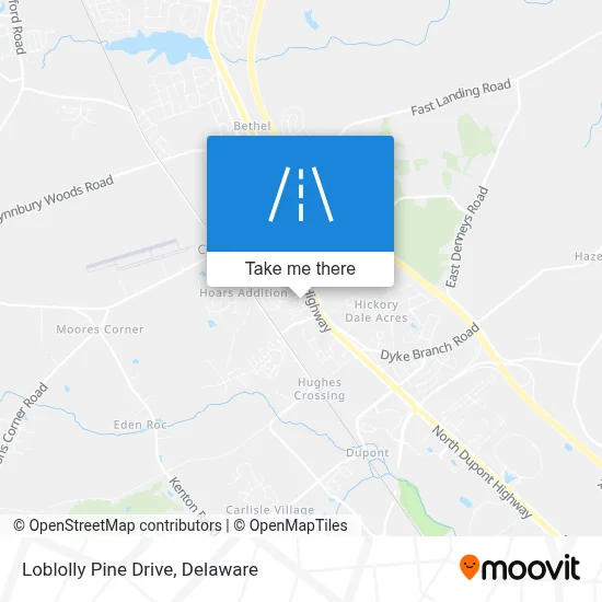Loblolly Pine Drive map