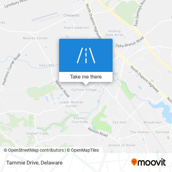 Tammie Drive map