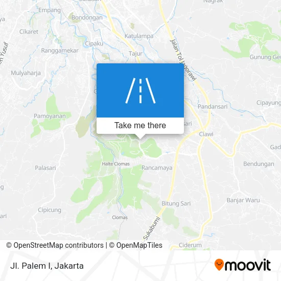 Jl. Palem I map