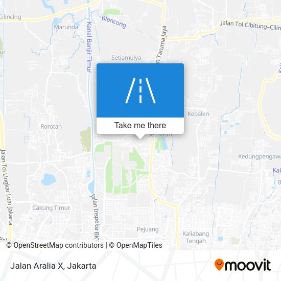 Jalan Aralia X map