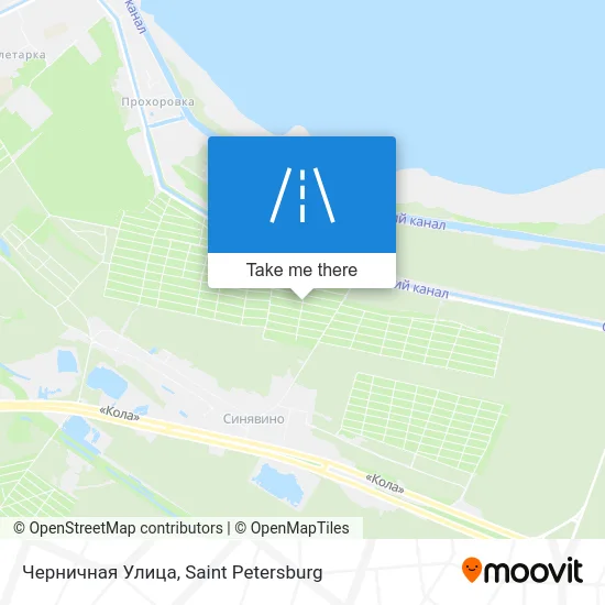 Черничная Улица map