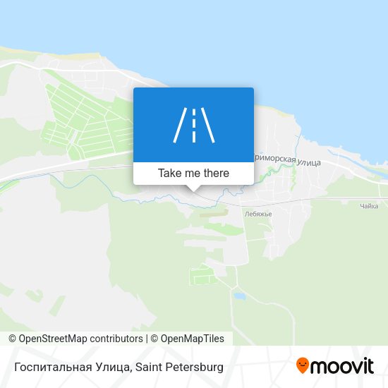 Госпитальная Улица map