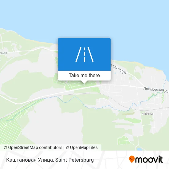 Каштановая Улица map