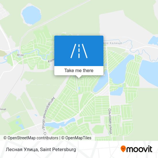 Лесная Улица map