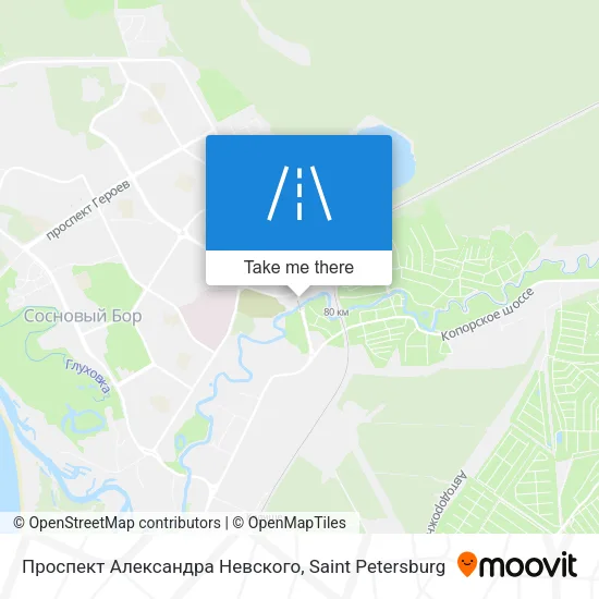 Проспект Александра Невского map