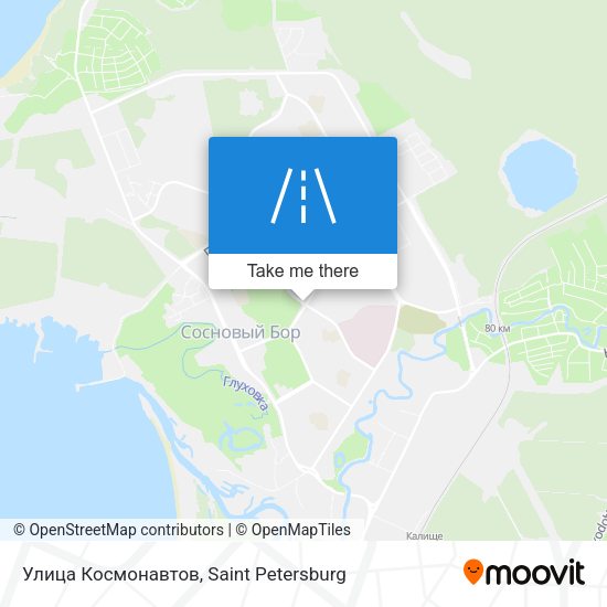 Улица Космонавтов map