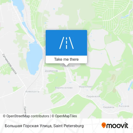 Большая Горская Улица map