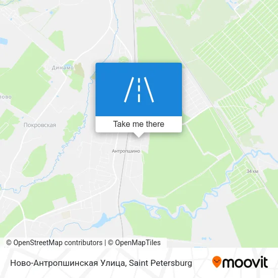 Ново-Антропшинская Улица map