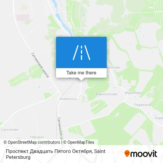 Проспект Двадцать Пятого Октября map