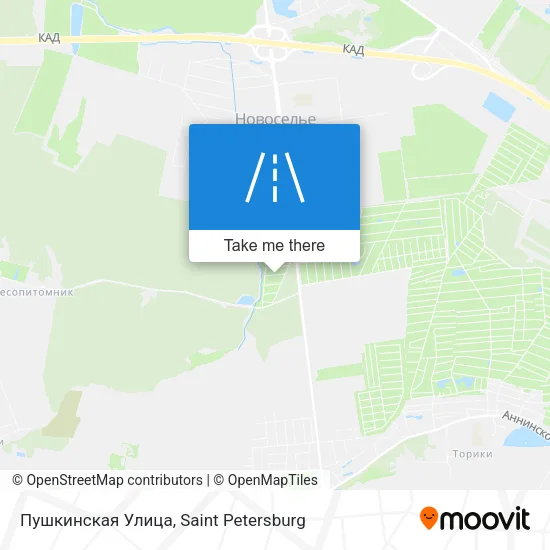 Пушкинская Улица map