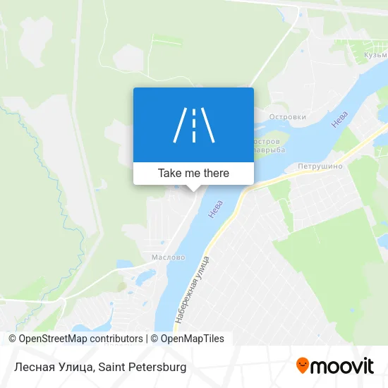 Лесная Улица map