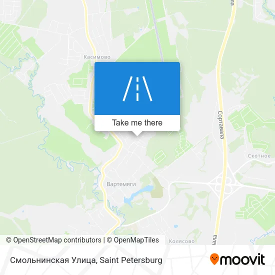 Смольнинская Улица map