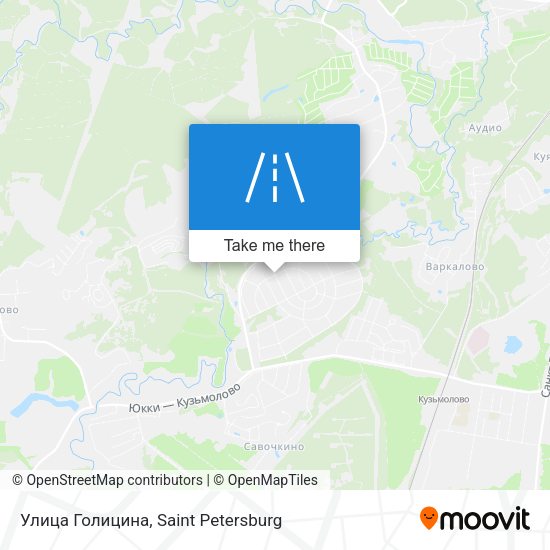 Улица Голицина map
