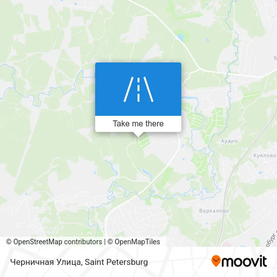 Черничная Улица map