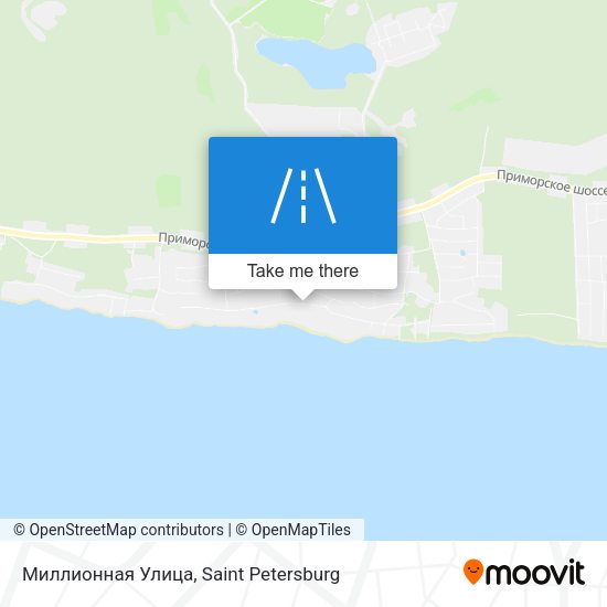 Миллионная Улица map