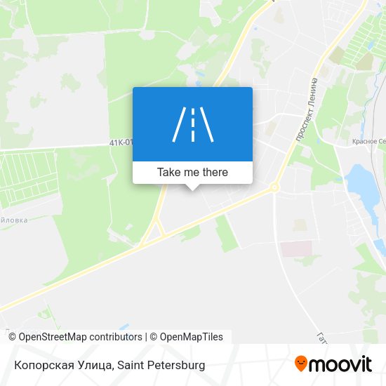 Копорская Улица map