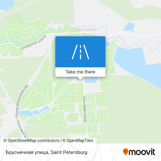 Брусничная улица map