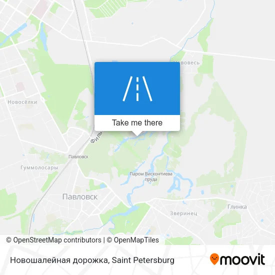 Новошалейная дорожка map