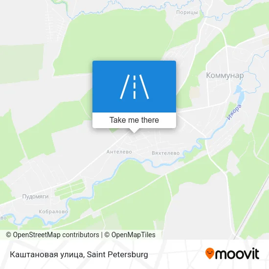 Каштановая улица map