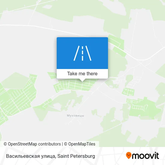 Васильевская улица map