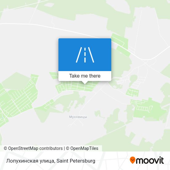 Лопухинская улица map