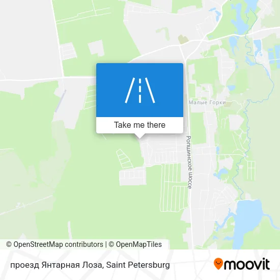 проезд Янтарная Лоза map