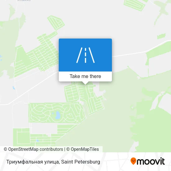 Триумфальная улица map