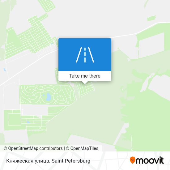 Княжеская улица map