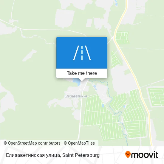 Елизаветинская улица map