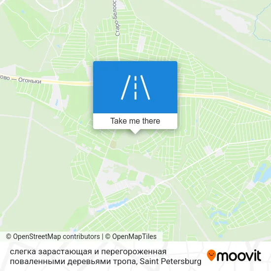 слегка зарастающая и перегороженная поваленными деревьями тропа map