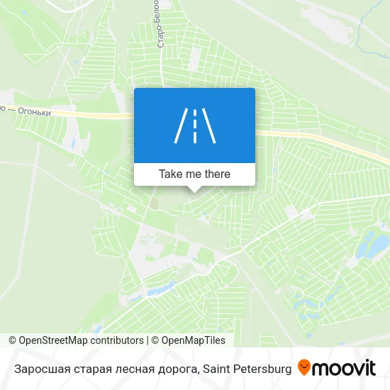 Заросшая старая лесная дорога map