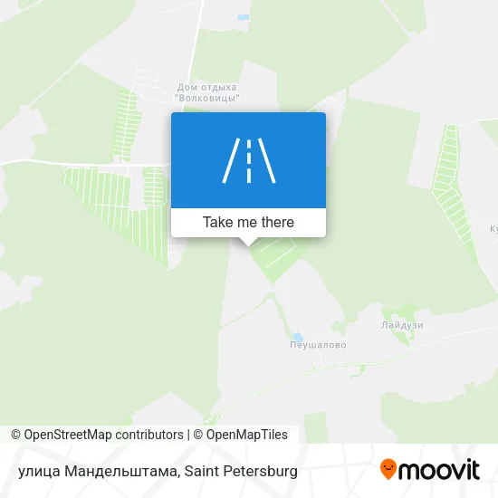 улица Мандельштама map