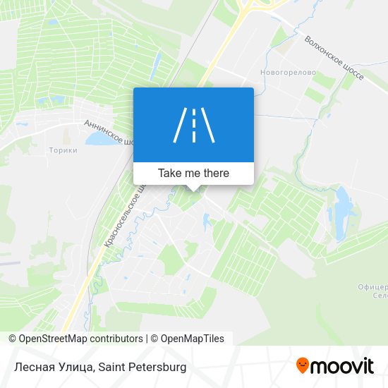 Лесная Улица map