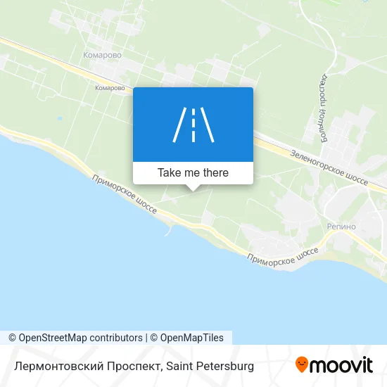 Лермонтовский Проспект map